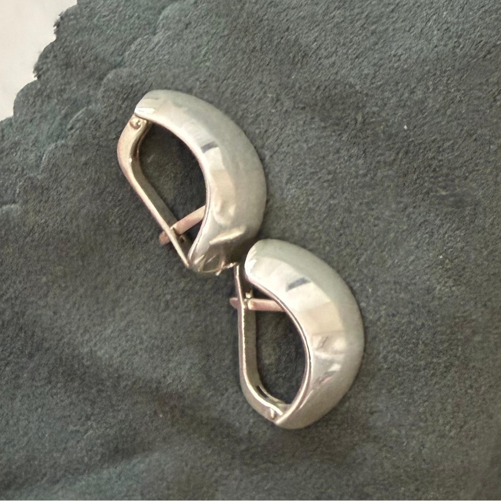 Exclusive Silver Earrings